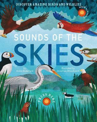 Sounds of the Skies 1