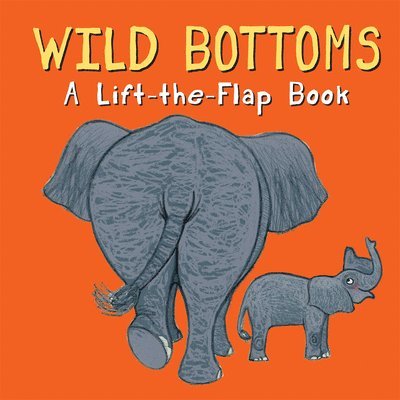 Wild Bottoms 1