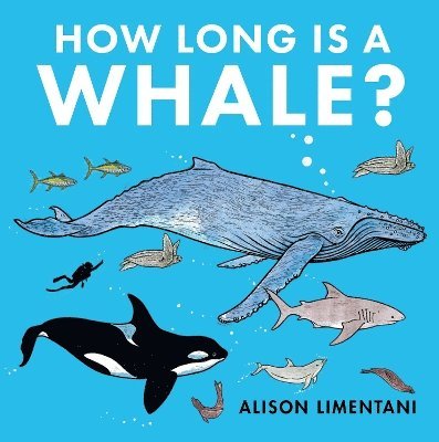 Alison LImentani, Alison Limentani - How Long is a Whale?, Häftad