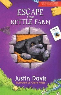 bokomslag Escape From Nettle Farm