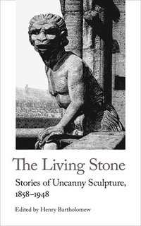 bokomslag The Living Stone