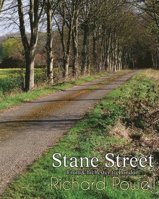 Stane Street 1