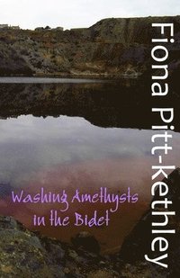 bokomslag Washing Amethysts in the Bidet