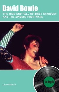 bokomslag David Bowie The Rise And Fall Of Ziggy Stardust And The Spiders From Mars: In-depth