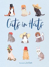 bokomslag Cats in Hats