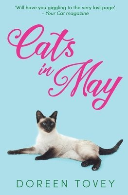 bokomslag Cats in May