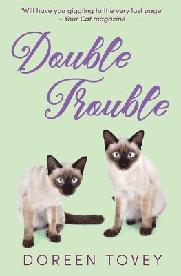 bokomslag Double Trouble
