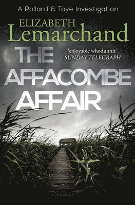 bokomslag Affacombe Affair