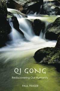bokomslag Qi Gong