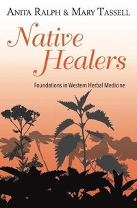 bokomslag Native Healers