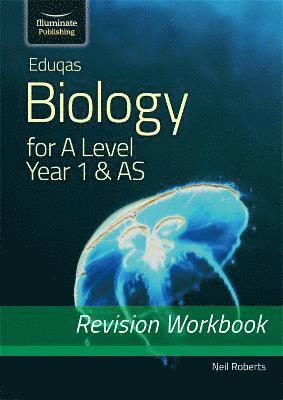 bokomslag Eduqas Biology for A Level Year 1 & AS: Revision Workbook
