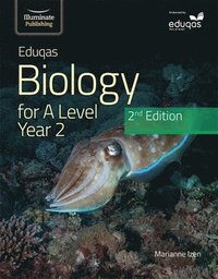 bokomslag Eduqas Biology For A Level Yr 2 Student Book: 2nd Edition