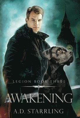 bokomslag Awakening