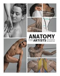 bokomslag Anatomy for Artists