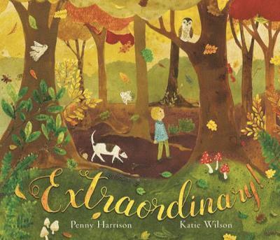Penny Harrison - Extraordinary!, Inbunden