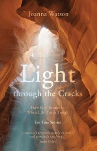 bokomslag Light through the Cracks