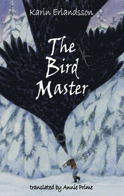 bokomslag Bird Master