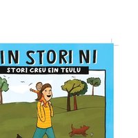 bokomslag EIN STORI NI