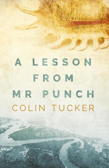 Colin Tucker - Lesson from Mr Punch, Häftad