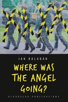 Jan Balabán - Where Was the Angel Going?, Häftad