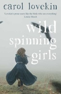 bokomslag Wild Spinning Girls