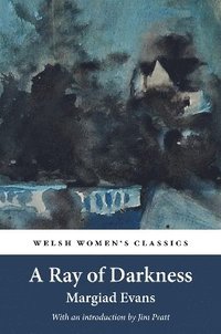 bokomslag A Ray Of Darkness