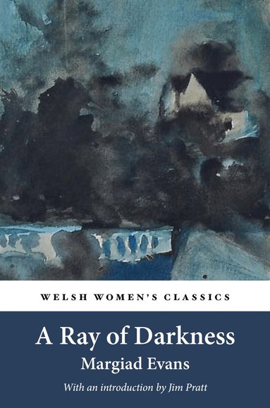 Margiad Evans - Ray Of Darkness, Häftad