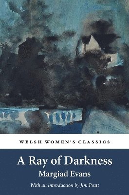 bokomslag A Ray Of Darkness