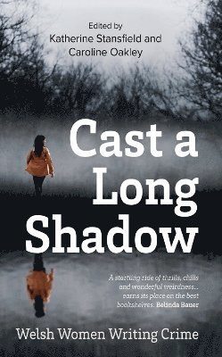 bokomslag Cast A Long Shadow