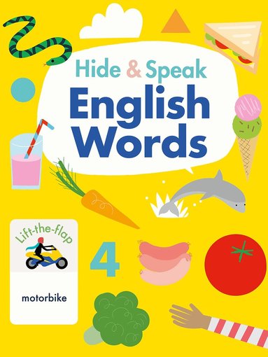 Rudi Haig - Hide & Speak English Words, Kartonnage