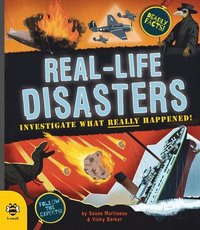 bokomslag Real-life Disasters