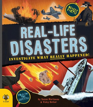 Susan Martineau - Real-life Disasters, Häftad