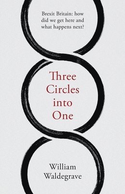 bokomslag Three Circles Into One