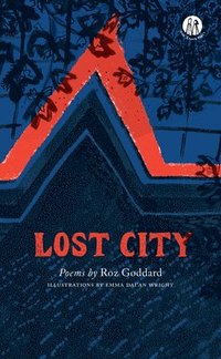 bokomslag Lost City