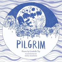 bokomslag Pilgrim