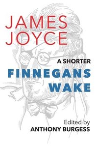 bokomslag A Shorter Finnegans Wake