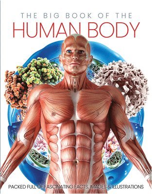 The Big Book of the Human body 1