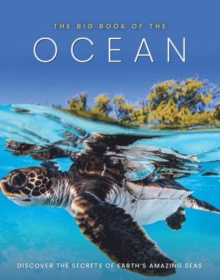 Sona Books, Dan Peel - Big Book of the Ocean, Inbunden