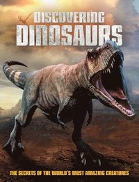 bokomslag Discovering Dinosaurs