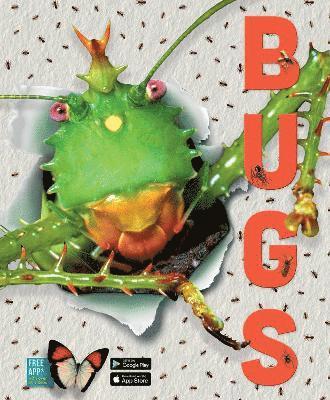 Bugs 1