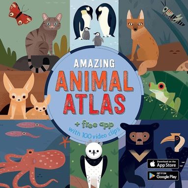 Anne McRae - Amazing Animal Atlas, Inbunden