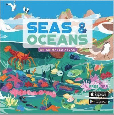 Seas & Oceans 1