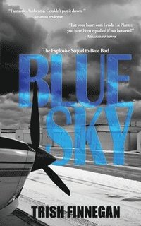 bokomslag Blue Sky