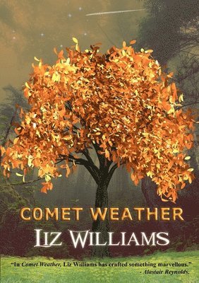 Liz Williams - Comet Weather, Häftad