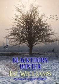 bokomslag Blackthorn Winter