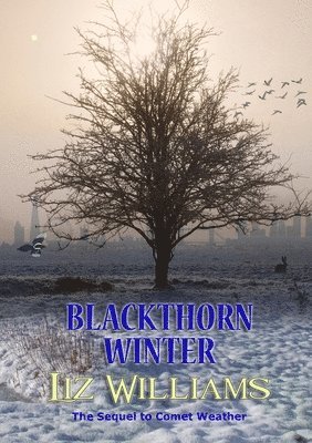 Blackthorn Winter 1