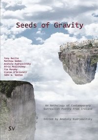bokomslag Seeds of Gravity