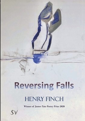Reversing Falls 1