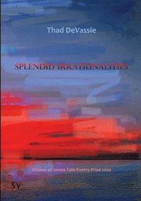 bokomslag Splendid Irrationalities