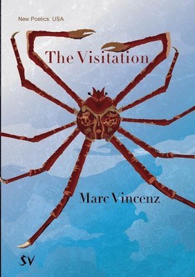 Marc Vincenz - Visitation, Häftad